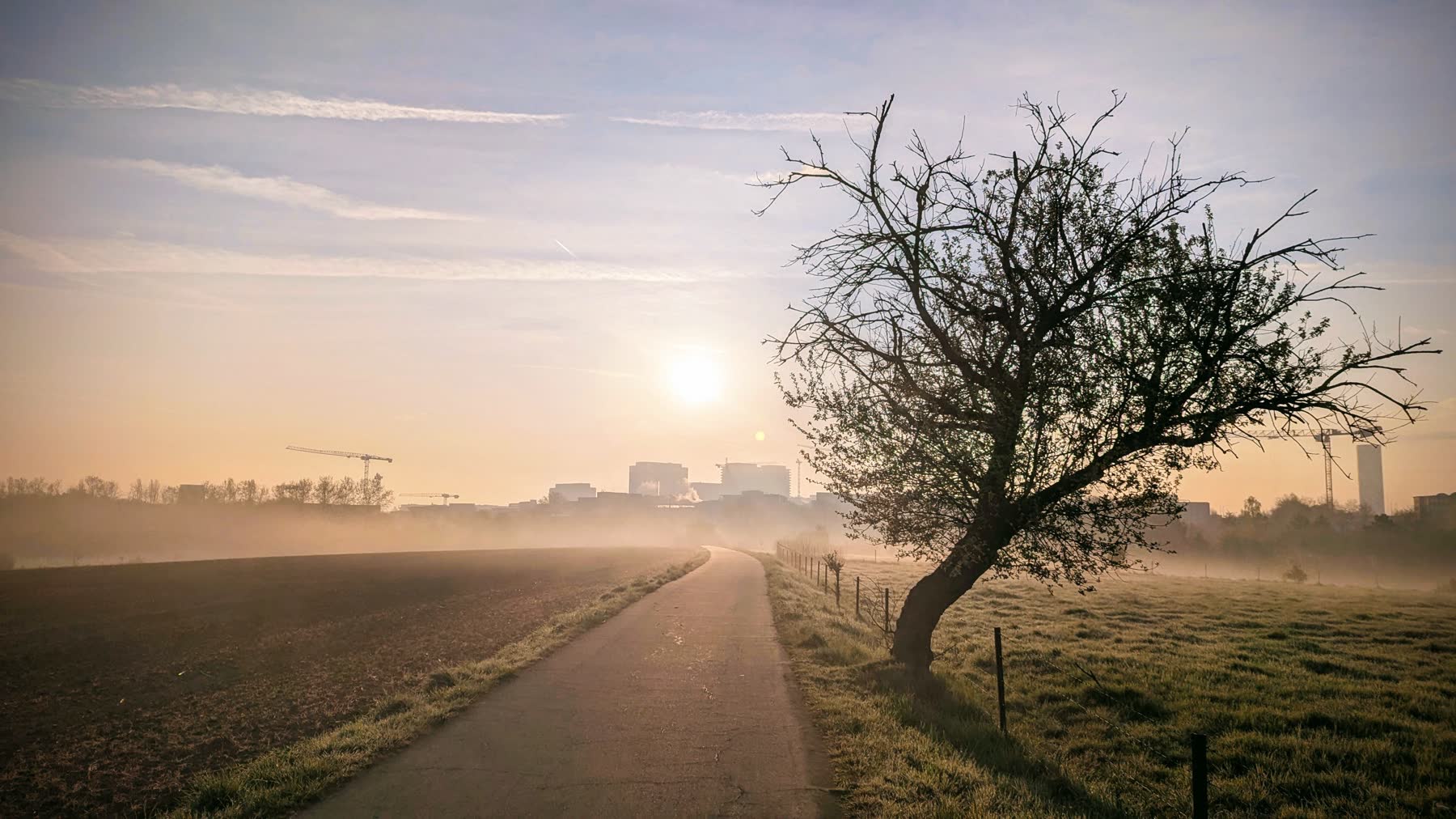 Misty morning road used for long run training